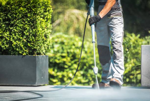 Best Soft Washing for Delicate Surfaces in Town Line, NY