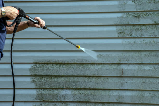 Best Window and Screen Pressure Cleaning in Town Line, NY